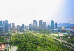 中洲大厦
