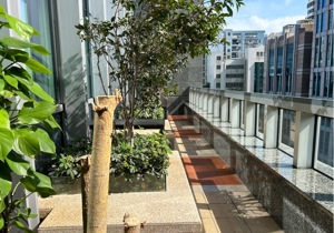 中央西谷大厦