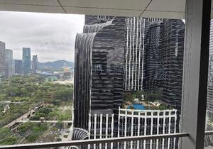 星河发展中心